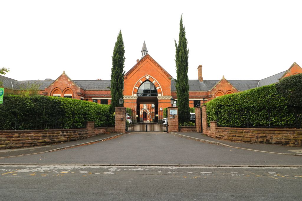 Main Image